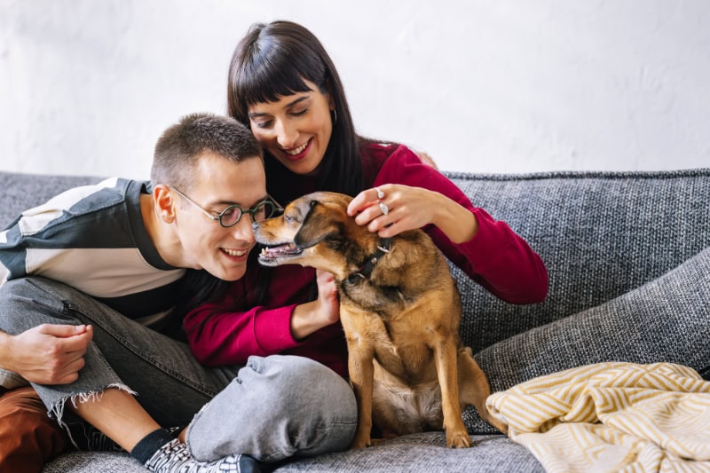 A warm, cozy moment with a couple and their small dog on a gray sofa.