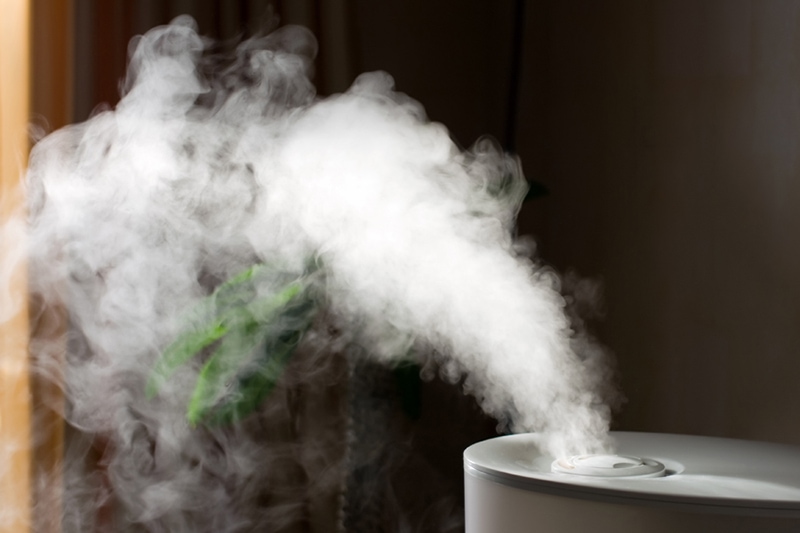 whole-house Humidifier spreading steam into the living room